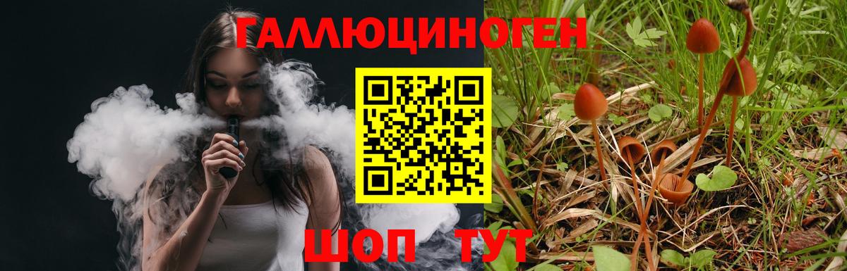 Курчатов  Псилоцибиновые грибы ЛСД  Вход с VPN 